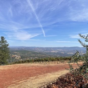 Wild Diamond Vineyards - Views - Wineries Near Me - Hidden Valley Lake, California