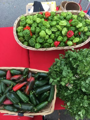 East Boston Farmers' Market by null
