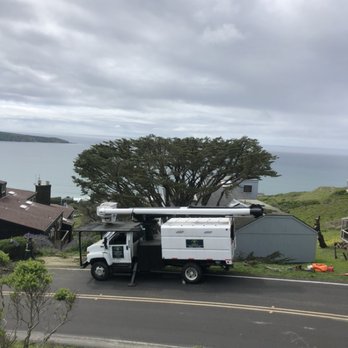 Jorge's Tree Service - Tree Services Near Me - San Rafael, California Jorge's Tree Service - Tree Services Near Me - San Rafael, California
