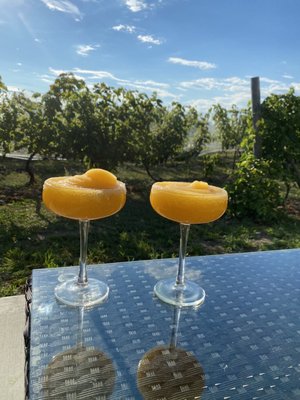 Traynor Family Vineyard by null