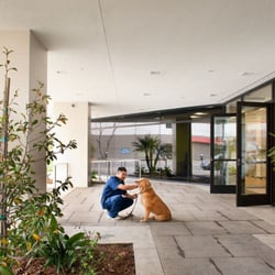 vca hospital on sepulveda