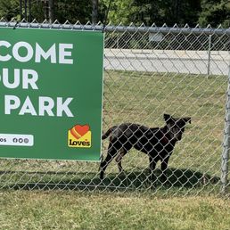 Do All Loves Have Dog Parks? Discover the Surprising Truth!