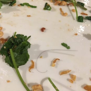 Ngoc Suong Restaurant - Hair in food - Vietnamese Near Me - Westminster, California