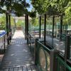 Fannie Mae Dees Park gift card