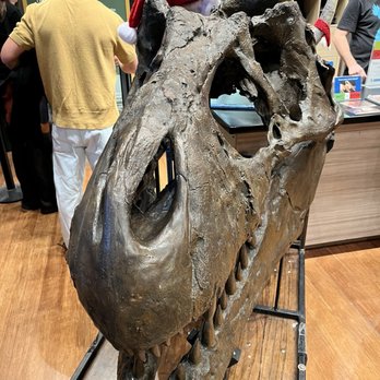 Field Museum - Museums Near Me - Chicago, Illinois