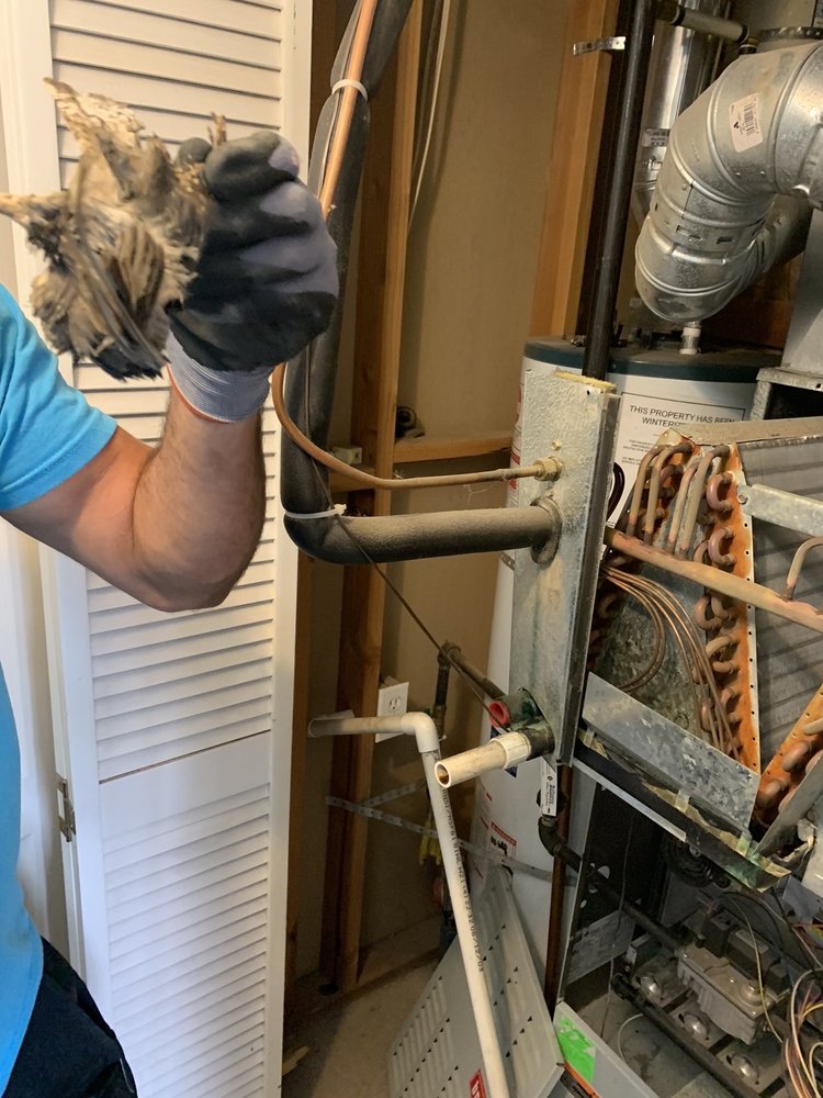 BEN HENRY HEATING AND AIR CONDITIONING Updated October 2024 16