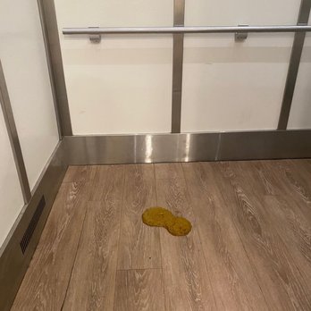 Harborview Apartment Homes - Dog poop in elevator. - Apartments Near Me - San Diego, California Harborview Apartment Homes - Dog poop in elevator. - Apartments Near Me - San Diego, California