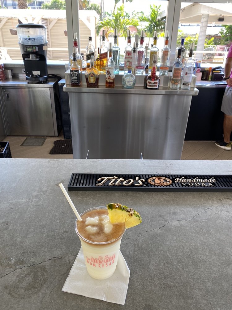 Sand Dollar Bar Image