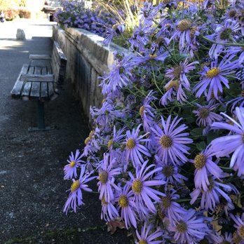 Sam Smith Park - Parks Near Me - Seattle, Washington Sam Smith Park - Parks Near Me - Seattle, Washington