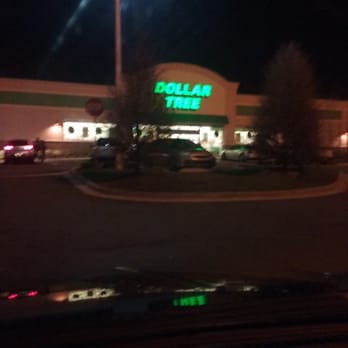 Dollar Tree - I am at Dollar Tree on Dunn's you can't go there to buy1 item they sell everything evenr frozen items check them out. - Discount Store Near Me - Jacksonville, Florida