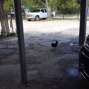 Burger Park - Even chickens like burgers!!! - Burgers Near Me - Houston, Texas