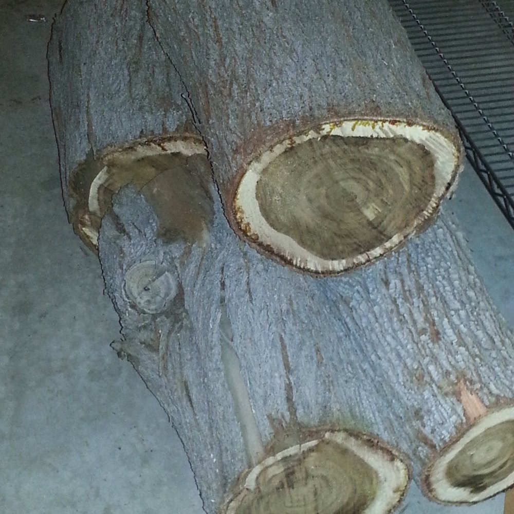 Desert Discount Tree Care & Removal - After the giant is gone. - Landscaping Near Me - Phoenix, Arizona