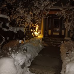 Wild Willow Wellness - Front of the studio at night.