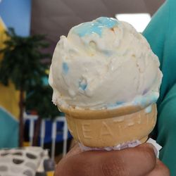 The Chill Zone - Birthday Cake Batter Ice cream cone