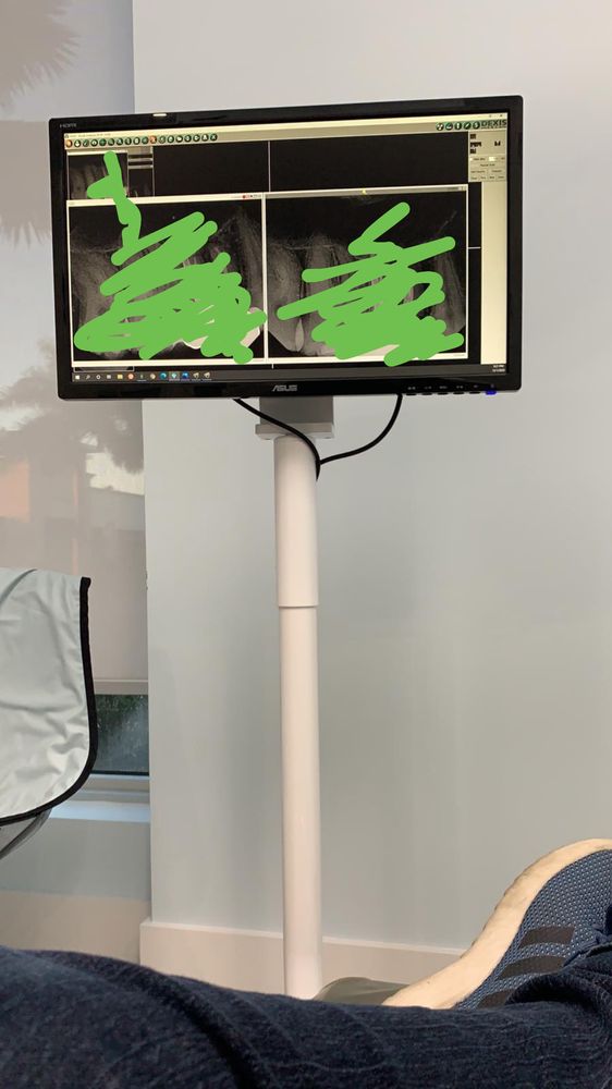 PRO ENDODONTICS Updated September 2024 8785 SW 165th Ave, Miami