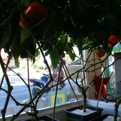 Sweet Harvest Garden Supply