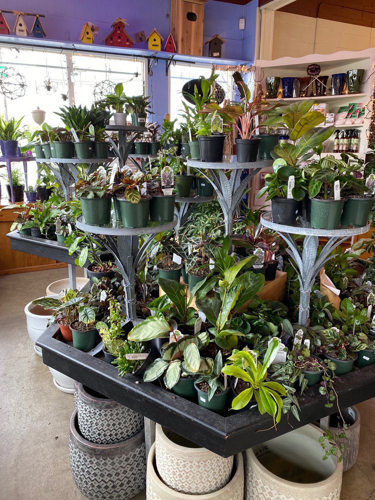 GORDON’S GARDEN CENTER Updated August 2024 18 Reviews 308 E Yelm