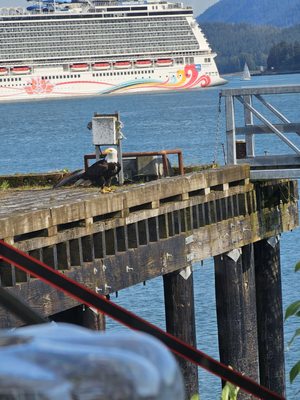 Tracy's King Crab Shack 2 by null