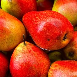 Village Market Place - January 2025 Forelle Pears