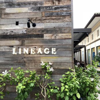 Lineage - Asian Fusion Near Me - Wailea, Hawaii Lineage - Asian Fusion Near Me - Wailea, Hawaii