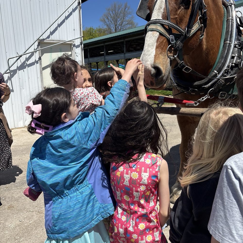 Country Dairy - Petting the tour horses - Ice Cream & Frozen Yogurt Near Me - New Era, Michigan