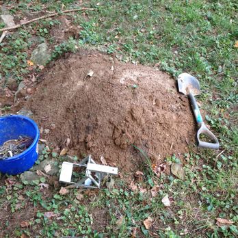 Moleliminator - Pest Control Near Me - Shelbyville, Kentucky