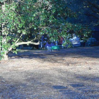 Trees and More of Northwest Florida- Fanberg Brothers - Magnolia, revealed in all its glory - Tree Services Near Me - Milton, Florida Trees and More of Northwest Florida- Fanberg Brothers - Magnolia, revealed in all its glory - Tree Services Near Me - Milton, Florida