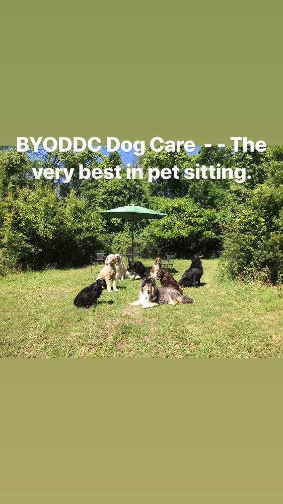 BYODDC PET SITTING Upper Marlboro, Maryland Pet Sitting Phone