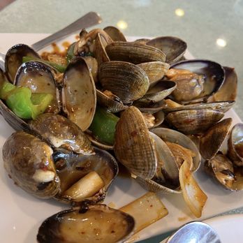 Yummy Garden - Clam stirred fry black bean - Chinese Near Me - Renton, Washington Yummy Garden - Clam stirred fry black bean - Chinese Near Me - Renton, Washington