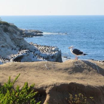 Coast Walk Trail - Hiking Near Me - San Diego, California Coast Walk Trail - Hiking Near Me - San Diego, California