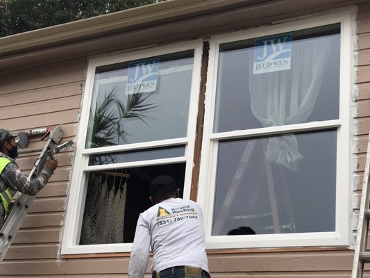 Windows/Skylights - Windows/Skylights