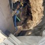 Photo of Alvin's Plumbing and Heating