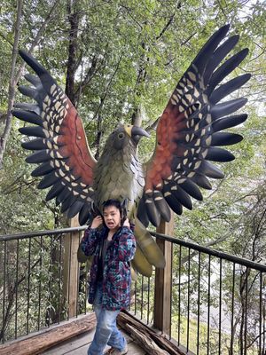 Kiwi Park Queenstown by null