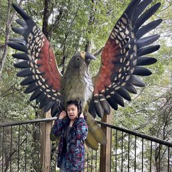 Kiwi Birdlife Park