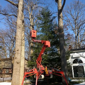 Arbor Lifts - Tree Services Near Me - Harrison Township, Michigan Arbor Lifts - Tree Services Near Me - Harrison Township, Michigan