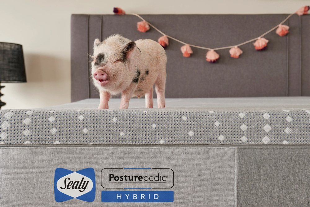 THE BED SHOPPE Updated October 2024 19 Photos 119 Midway Crossing