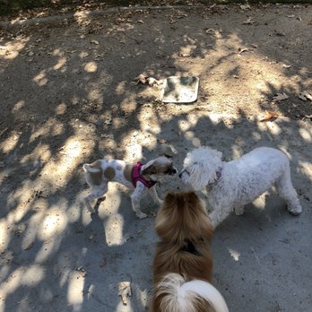 Claremont Pooch Park - Making friends - Dog Parks Near Me - Claremont, California Claremont Pooch Park - Making friends - Dog Parks Near Me - Claremont, California