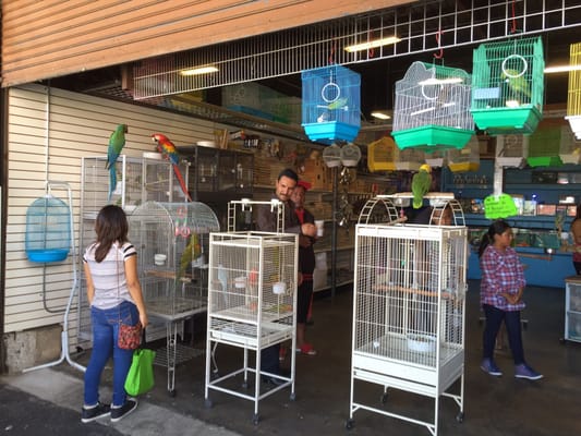 Alameda Swap Meet by null
