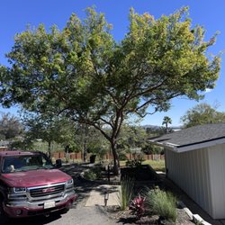 Westview Tree Experts