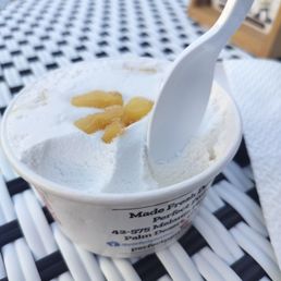 The coconut sorbet