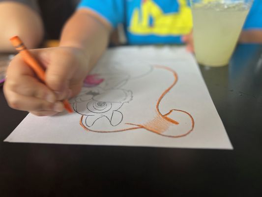 The Iron Duck Public House by null