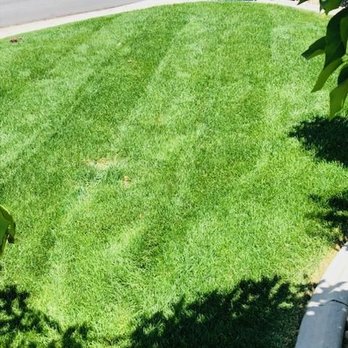 Monjas Landscaping - Front lawn - Landscaping Near Me - Reno, Nevada
