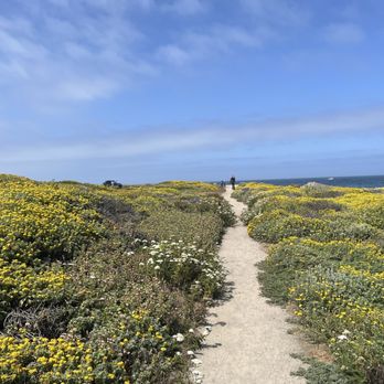 17-Mile Drive Scenic Tour - Local Flavor Near Me 17-Mile Drive Scenic Tour - Local Flavor Near Me