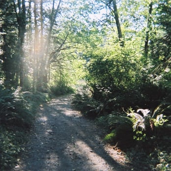 Hollyhock - There are many natural areas for walking, meditating, playing, praying.  Its beauty is near-indescribable. - Community Service/Non-Profit Near Me - Cortes Island, British Columbia
