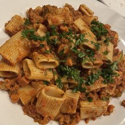 Bolognese Bolognese