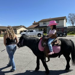 Tawni's Ponies & Animal World Petting Zoo