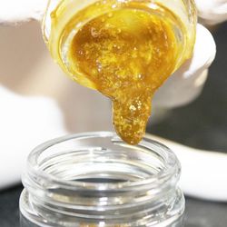 Cannabis Culture - CBD oil