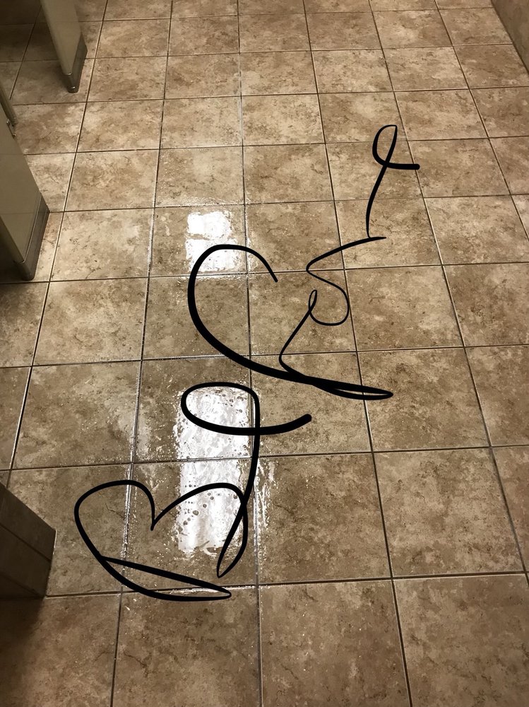 LAKESHORE CARPET AND FLOOR CLEANING Updated June 2024 147 Photos