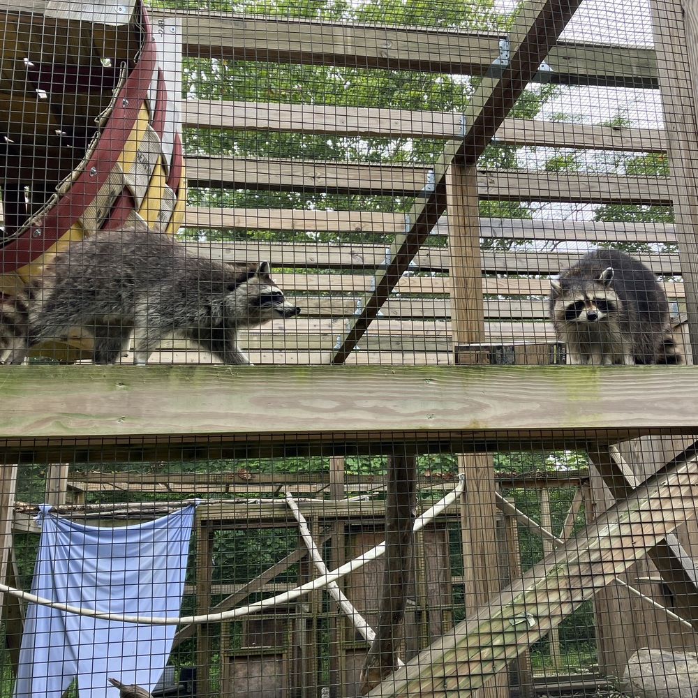 Ohio Wildlife Center - Community Service/Non-Profit Near Me - Powell, Ohio