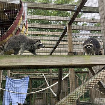Ohio Wildlife Center - Community Service/Non-Profit Near Me - Powell, Ohio Ohio Wildlife Center - Community Service/Non-Profit Near Me - Powell, Ohio